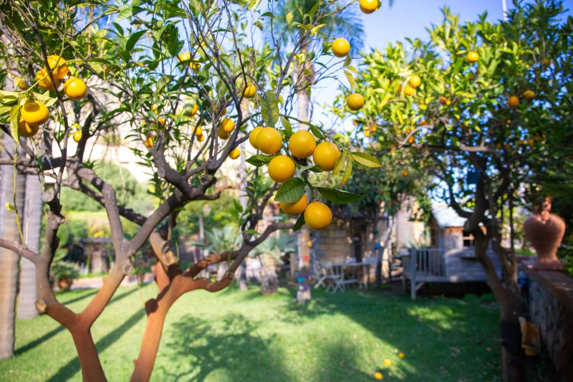 Villa Caterina - Solemar Sicilia Cefalù Exterior foto